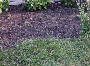 Weeding by Robert Pittman for Devon R. in Columbus, OH