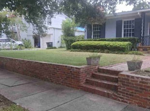Sonia F.'s Bush Trimming service result