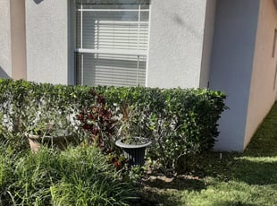 Bush Trimming by Donnie Beebe for Daryl C. in Riverview, FL