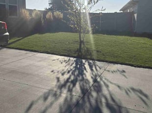 Lydia E.'s Yard Cutting service result