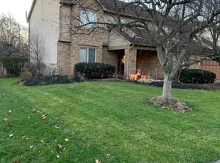 Leaf Removal by Anton Payne Jr for Matthew W. in Westerville, OH