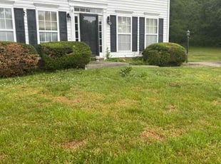 Bush Trimming by Davon Lightfoot for Ronald M. in Richmond, VA