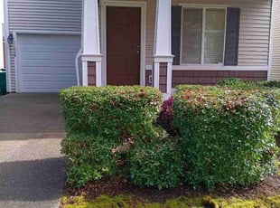Bush Trimming by Robert Martin for Erin T. in Redmond, WA