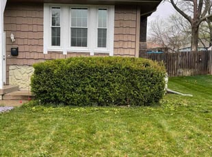 Bush Trimming by Harold Mabin Jr for Jacob D. in Kansas City, MO