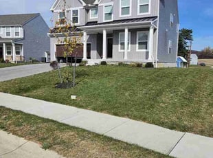 Ken S.'s Grass Cutting service result