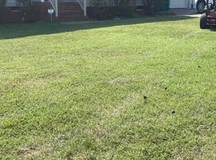 Bush Trimming by Arthur Haskins for Joshua A. in Richmond, VA