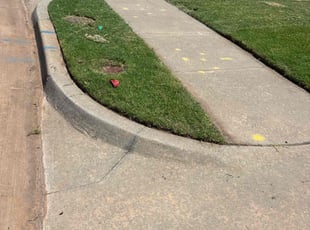 Grace L.'s Lawn Mowing service result