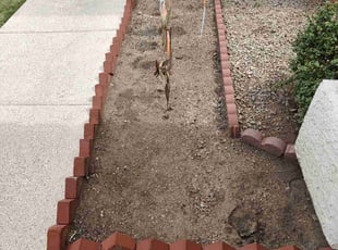 Weeding by Marvin Gray for Genevieve L. in Phoenix, AZ