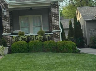 Dan P.'s Lawn Care service result