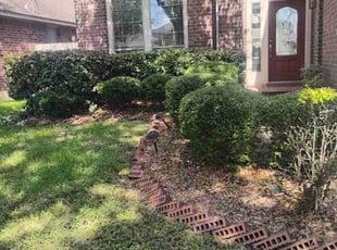 Colleen G.'s Bush Trimming service result