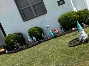 Michael M.'s Lawn Maintenance service result