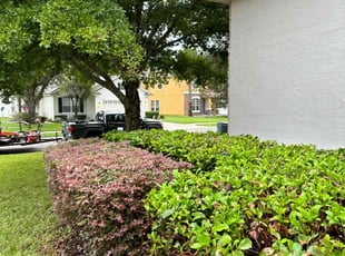 Sarah V.'s Bush Trimming service result
