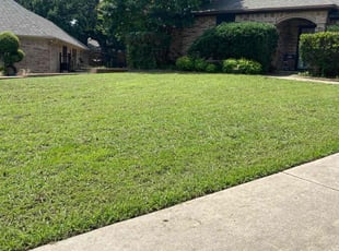 Jami N.'s Lawn Service service result