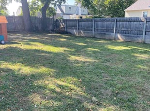 Mario C.'s Lawn Mowing Service service result