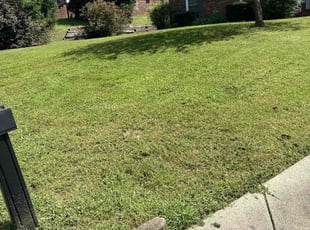 Sarah D.'s Lawn Care service result