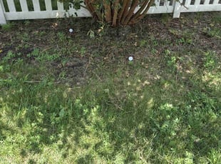 Saretha W.'s Flower Bed Weeding service result