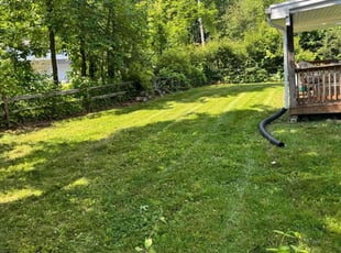 Elizabeth L.'s Lawn Maintenance service result