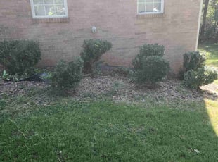 Bush Trimming by Carlos Wright for Andrew C. in Lawrenceville, GA