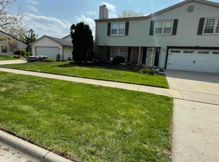 Mechelle B.'s Lawn Service service result