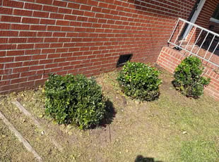 Leaf Removal by Brandon Russell for Brittany S. in Portsmouth, VA