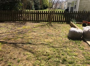 Leaf Removal by Marco Antenor for John S. in Charlotte, NC