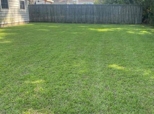 Ruth B.'s Lawn Service service result