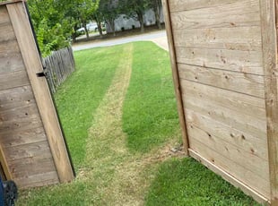 Sindi M.'s Lawn Mowing service result
