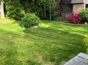 Raymond k.'s Cleanups service result