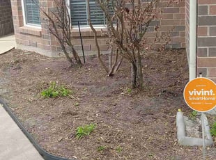 Weeding by Alexis Perez for Jessica P. in Cypress, TX