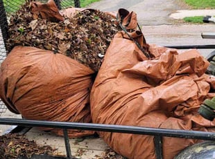 Leaf Removal by David Booth for Ray L. in Kansas City, MO
