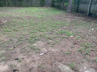 Leaf Removal by Curtis Stewart for Amanda T. in Little Rock, AR