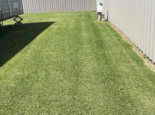 Jeri H.'s Lawn Mowing service result