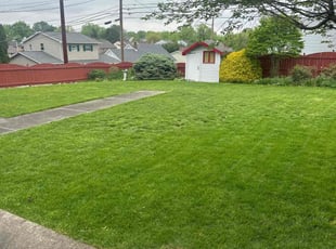 Tawana M.'s Yard Cutting service result