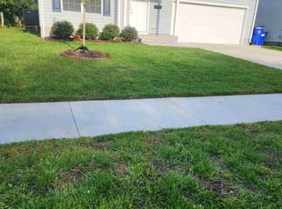 Kaley N.'s Yard Cutting service result