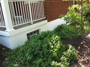 Bush Trimming by Terrance North for Shelly S. in Cincinnati, OH