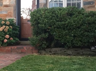 Bush Trimming by Kamonta Hackey for Michele M. in Alexandria, VA