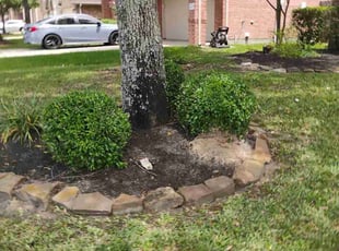 Weeding by Hector Cruz for Joseph T. in Spring, TX