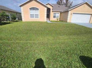 Peter M.'s Yard Cutting service result