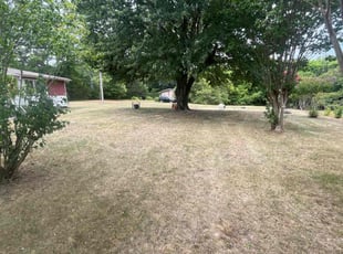 Dan M.'s Lawn Mowing service result