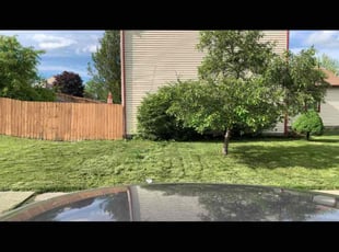 Bush Trimming by Kervin Fernandez for Bret g. in Columbus, OH