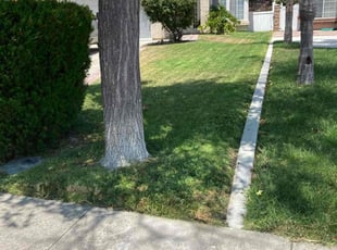 Maurice N.'s Lawn Service service result
