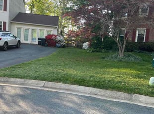 Richard D.'s Lawn Service service result