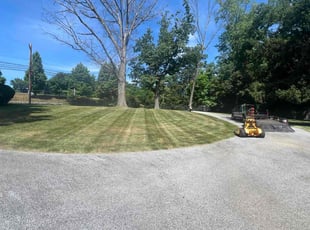 Sharon b.'s Lawn Care service result