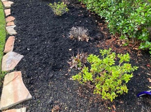 Weeding by Juan Wong for Mason M. in Cypress, TX