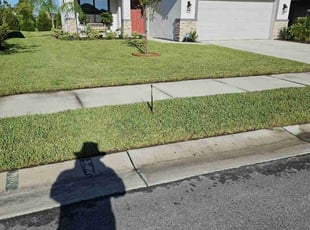 Ellen V.'s Lawn Mowing service result