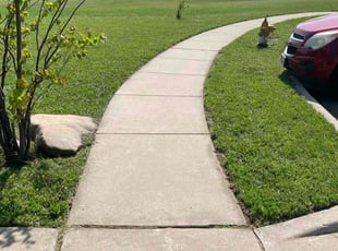 Jeanette R.'s Lawn Maintenance service result