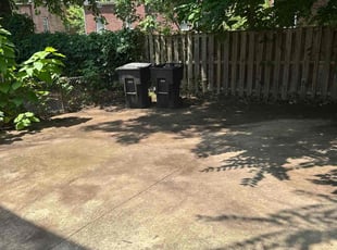 Leaf Removal by Jose M Rodriguez for Hannah K. in Arlington, VA