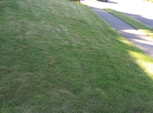 Cleanups by Shelly Harding for Chelsea M. in Portland, OR