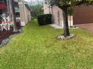 Barbara T.'s Lawn Care service result