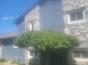 Bush Trimming by Shane Chabot for Ashley N. in Westminster, MA